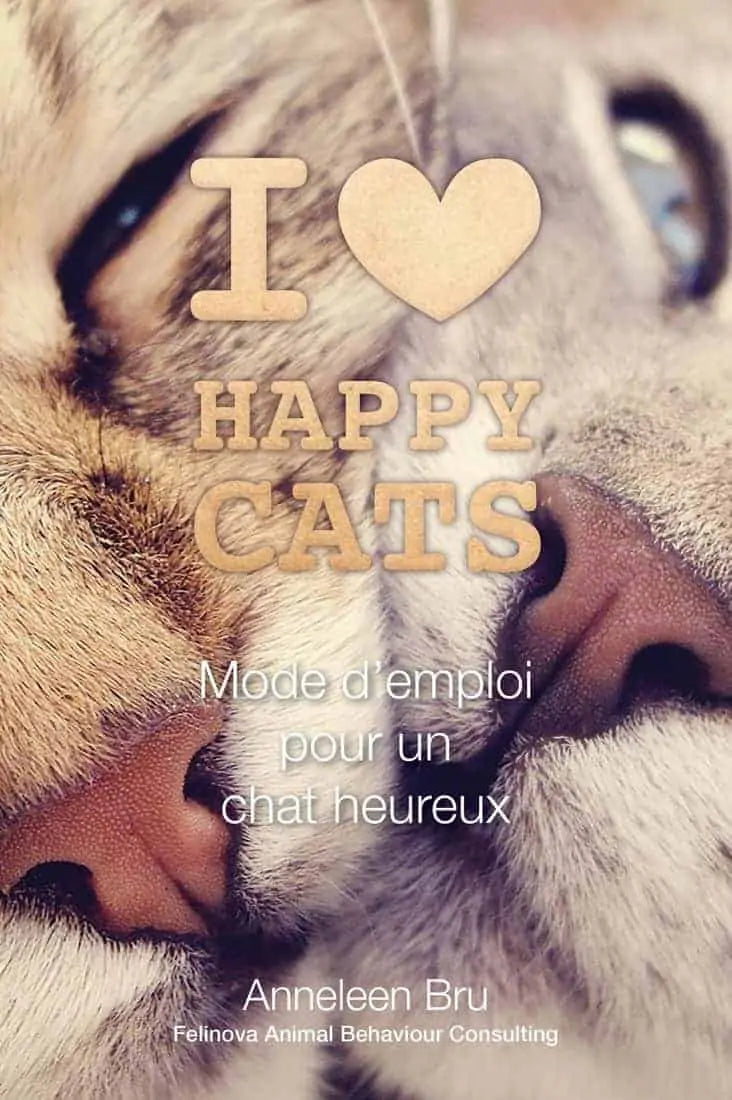 English ♡ Instructions for a happy cat