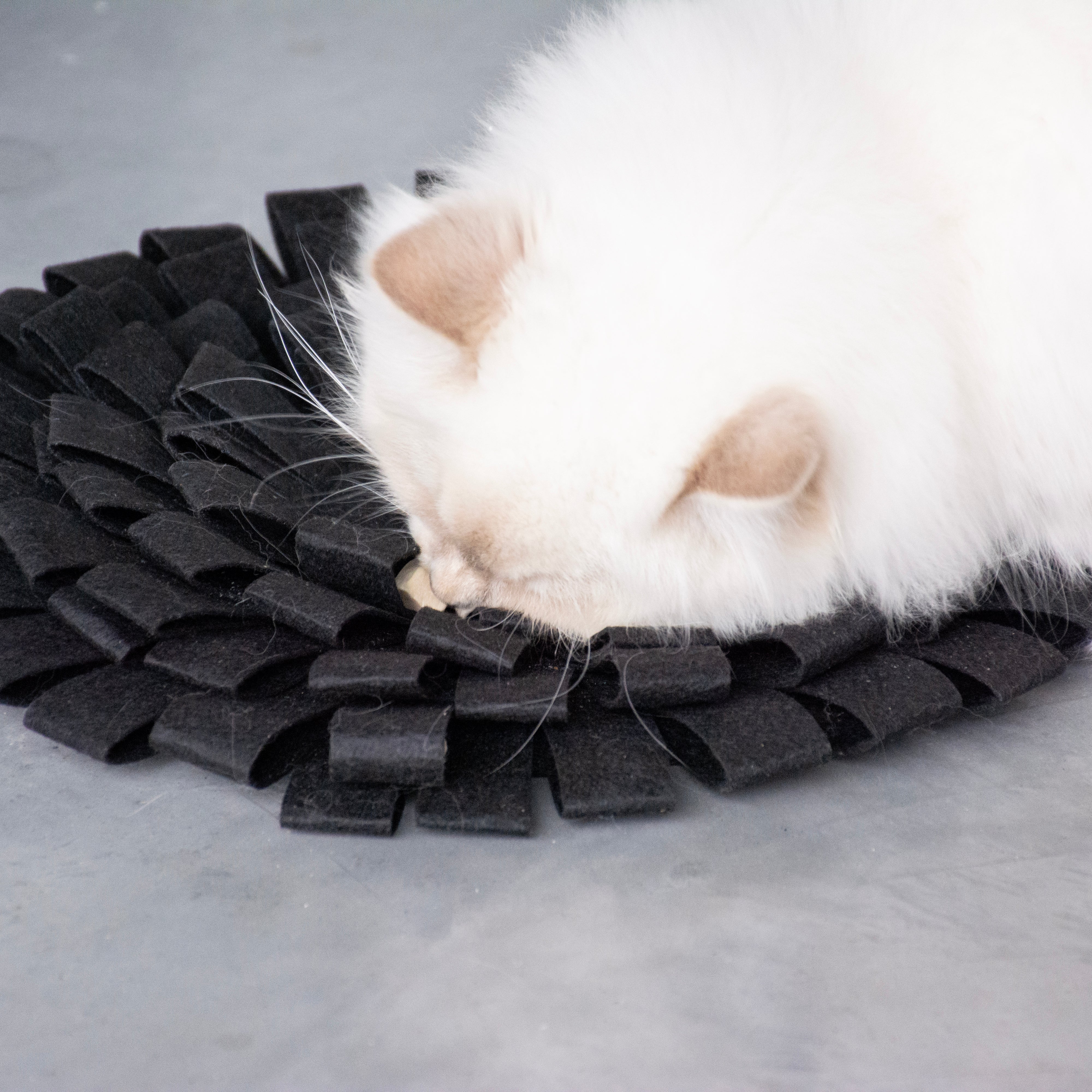 Suzy - sniffing mat black