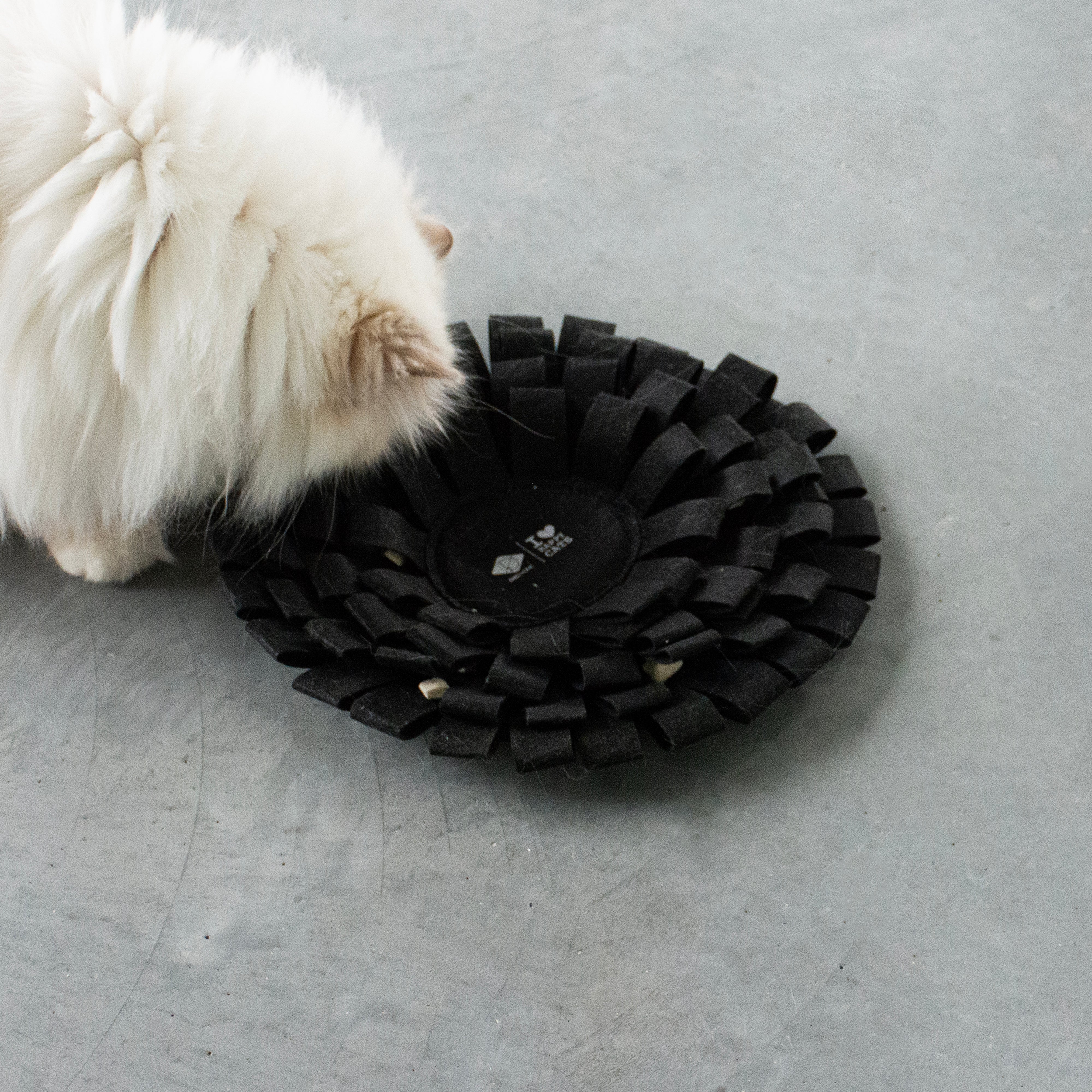 Suzy - sniffing mat black