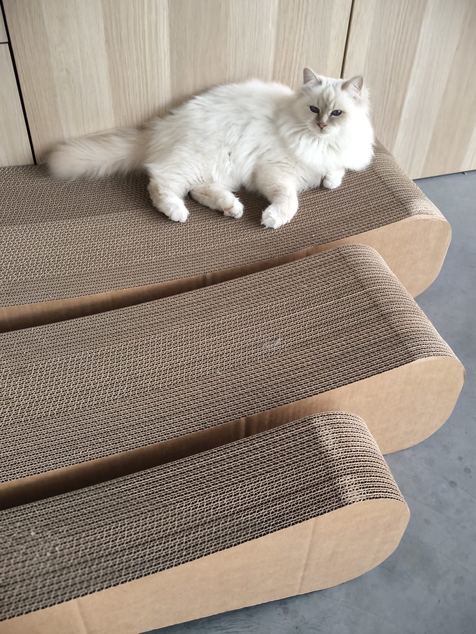 XXXL Cat Scratching Furniture