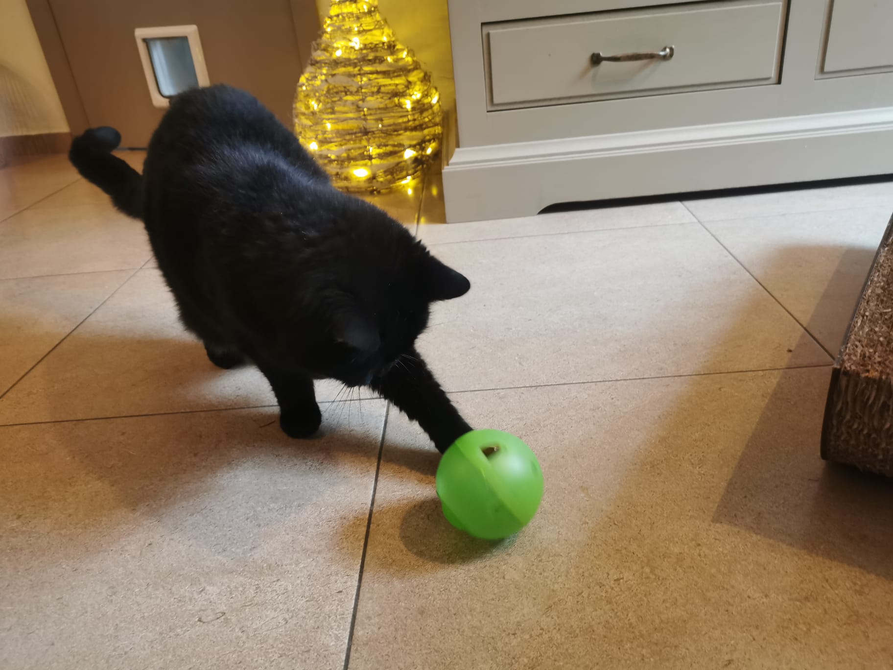 Slimcat Anti-Gulping Cat Food Ball