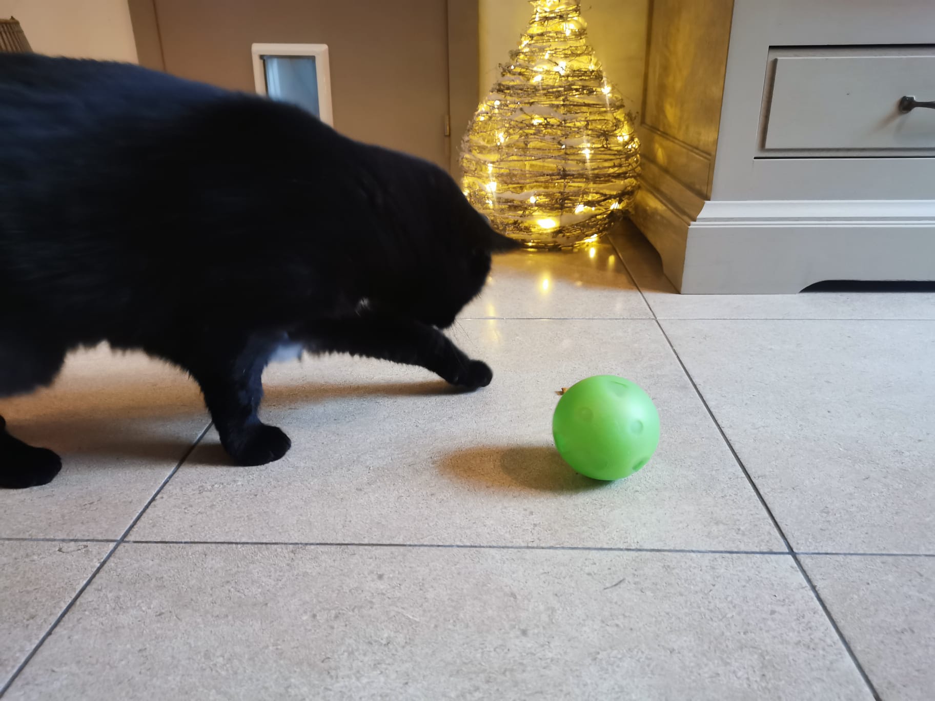 Slimcat Anti-Gulping Cat Food Ball