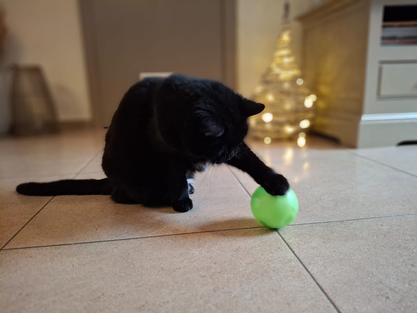 Slimcat Anti-Gulping Cat Food Ball