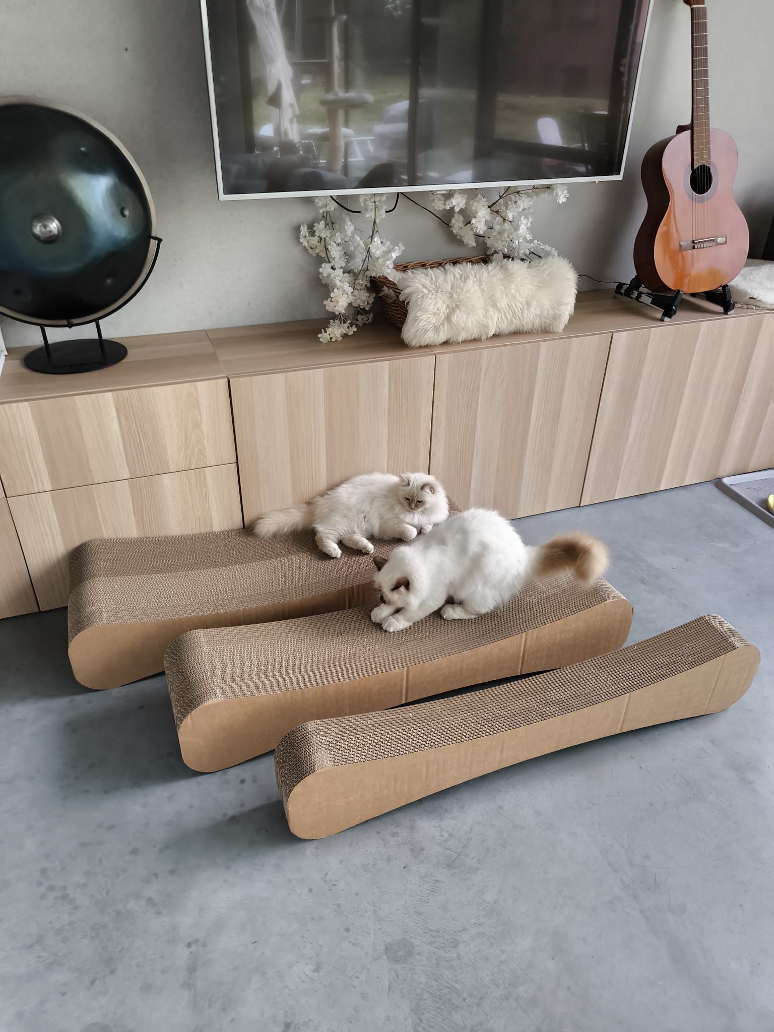XXXL Cat Scratching Furniture