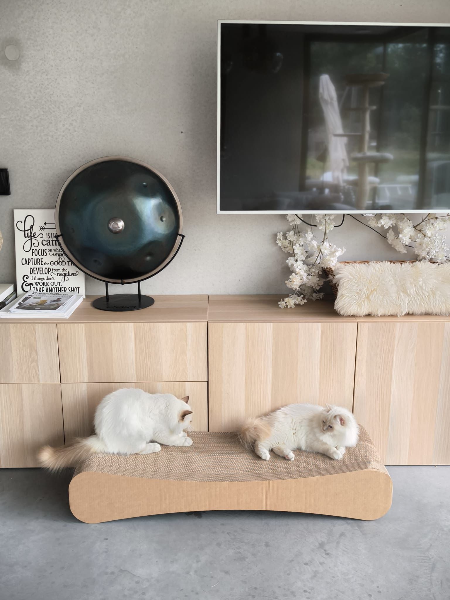 XXXL Cat Scratching Furniture