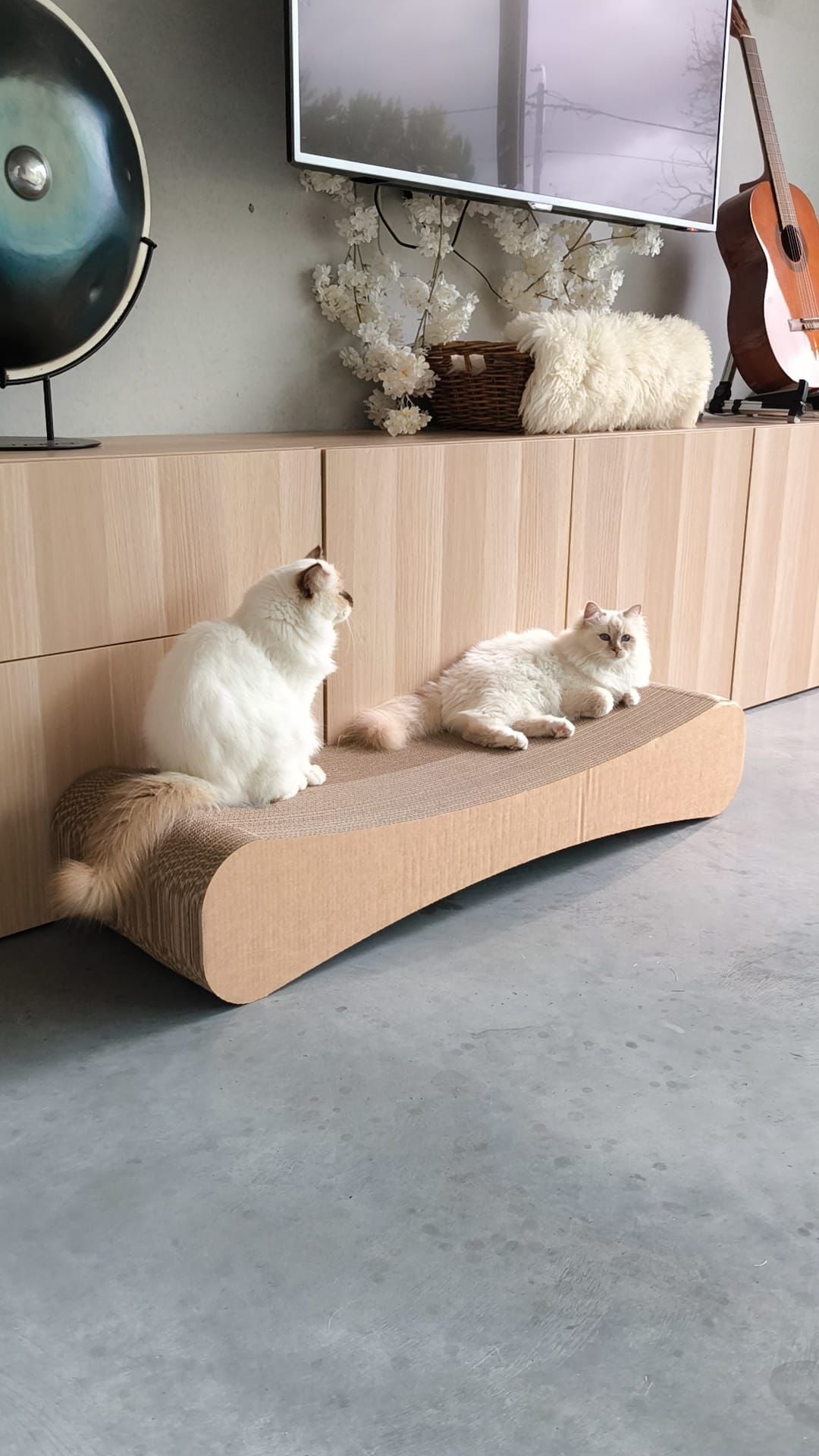 XXXL Cat Scratching Furniture