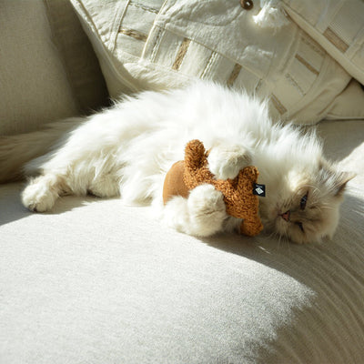 Kruidenmix I Love Happy Cats
